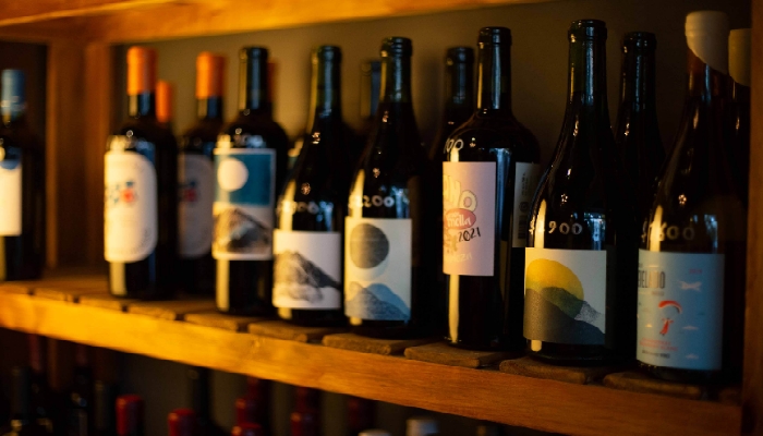 Semana del Bonarda y el Pinot Noir en el Distrito del Vino