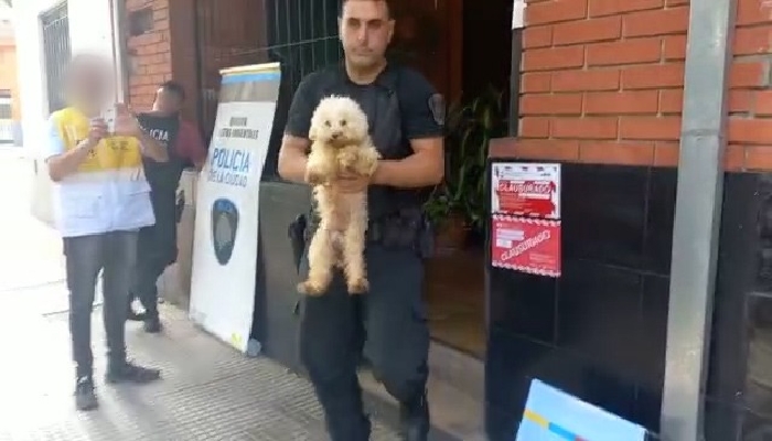 Criadero ilegal de perros en Liniers